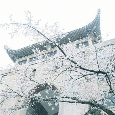 北京朝阳奥运村陆地冰壶联赛开赛