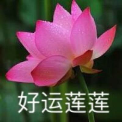 广东茂名市委原副书记廖锋等2人被开除党籍和公职